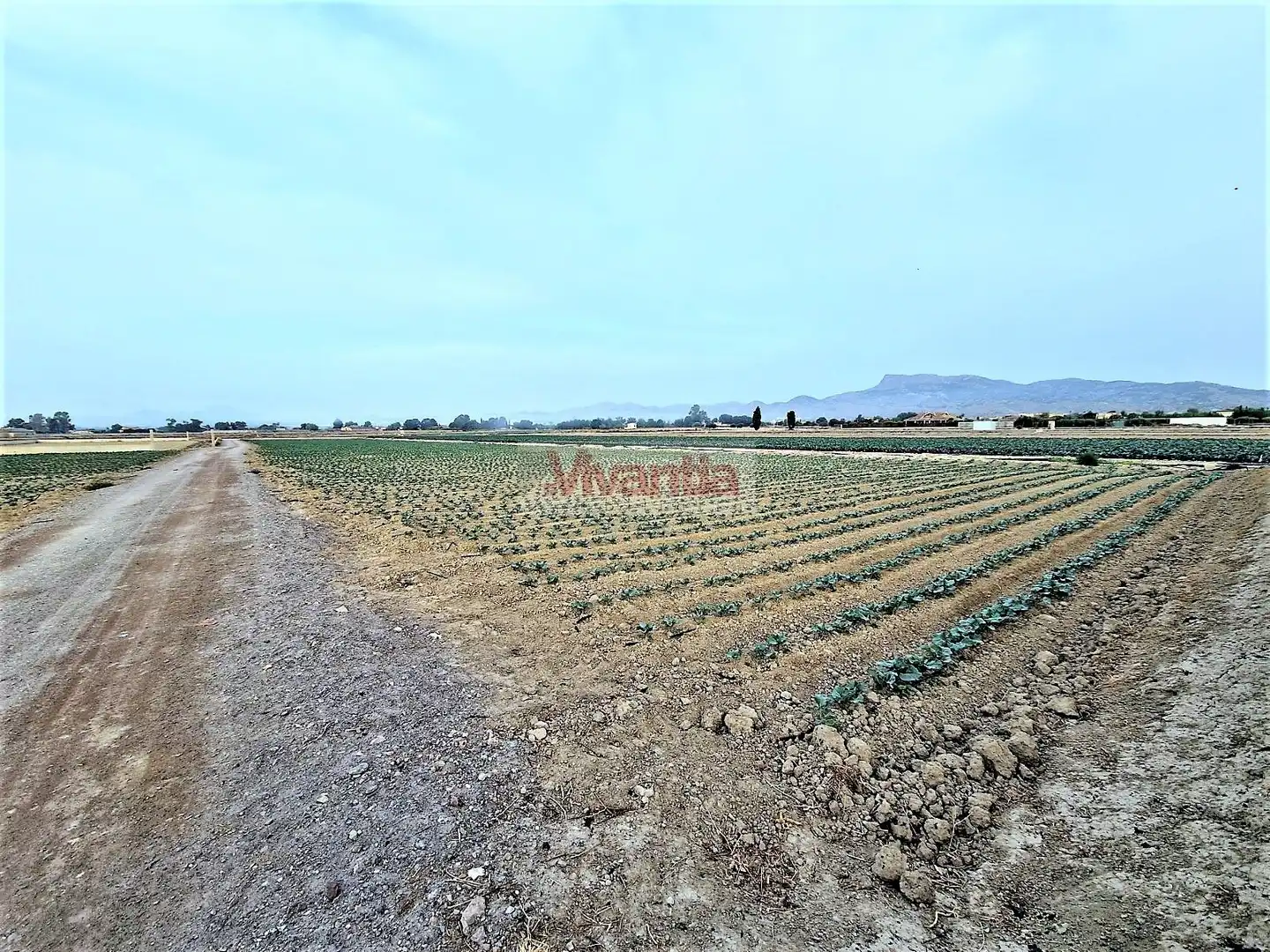 Residential land for sale in Pedanías Centro, imagen 9