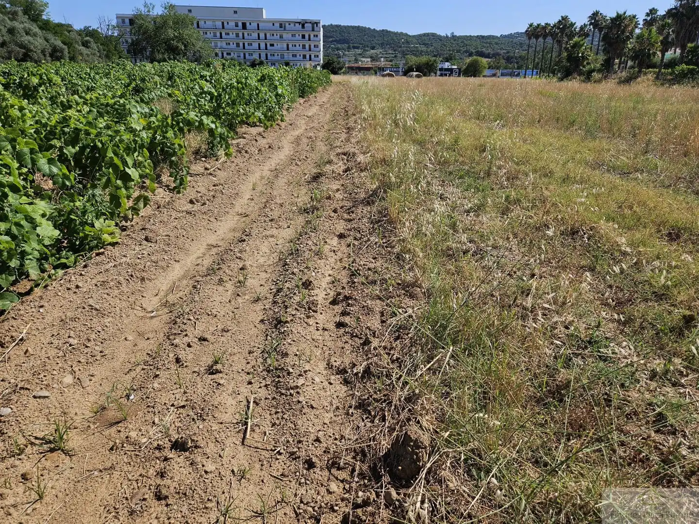 Terrenys i solars en venda a Poble, imagen 4