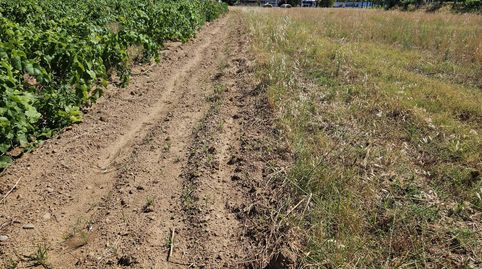 Foto 4 de Residencial en venta en Poble, Calonge i Sant Antoni