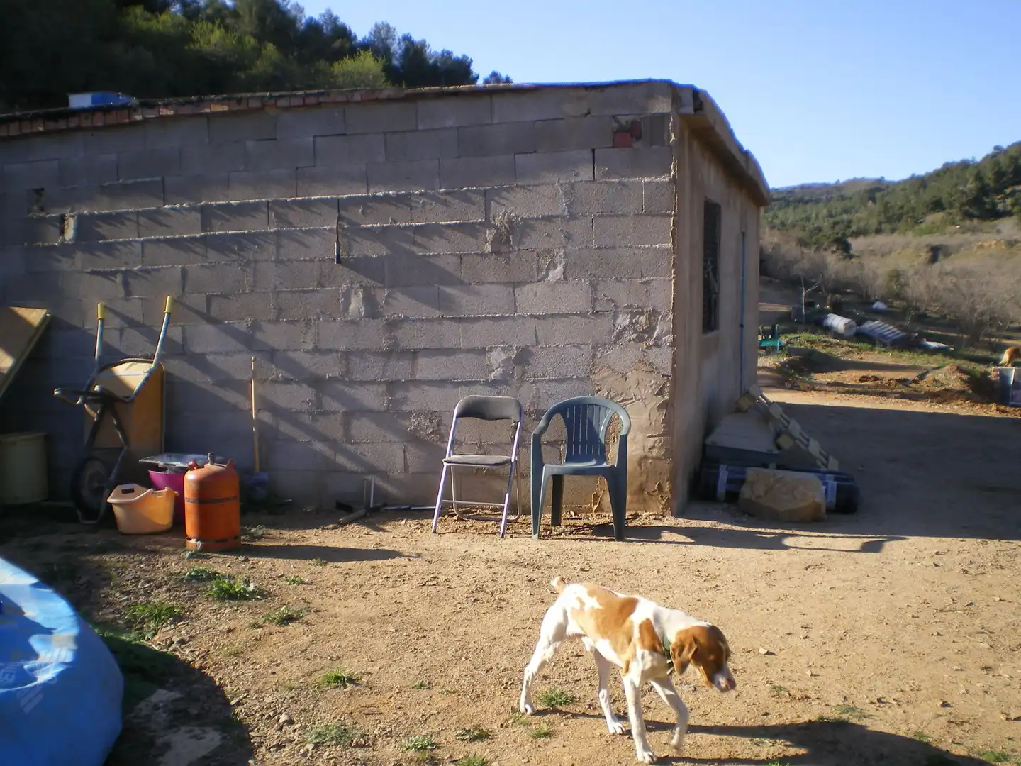 Terreno rustico in vendita a Riudecols