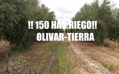 Land for sale in  Sevilla Capital