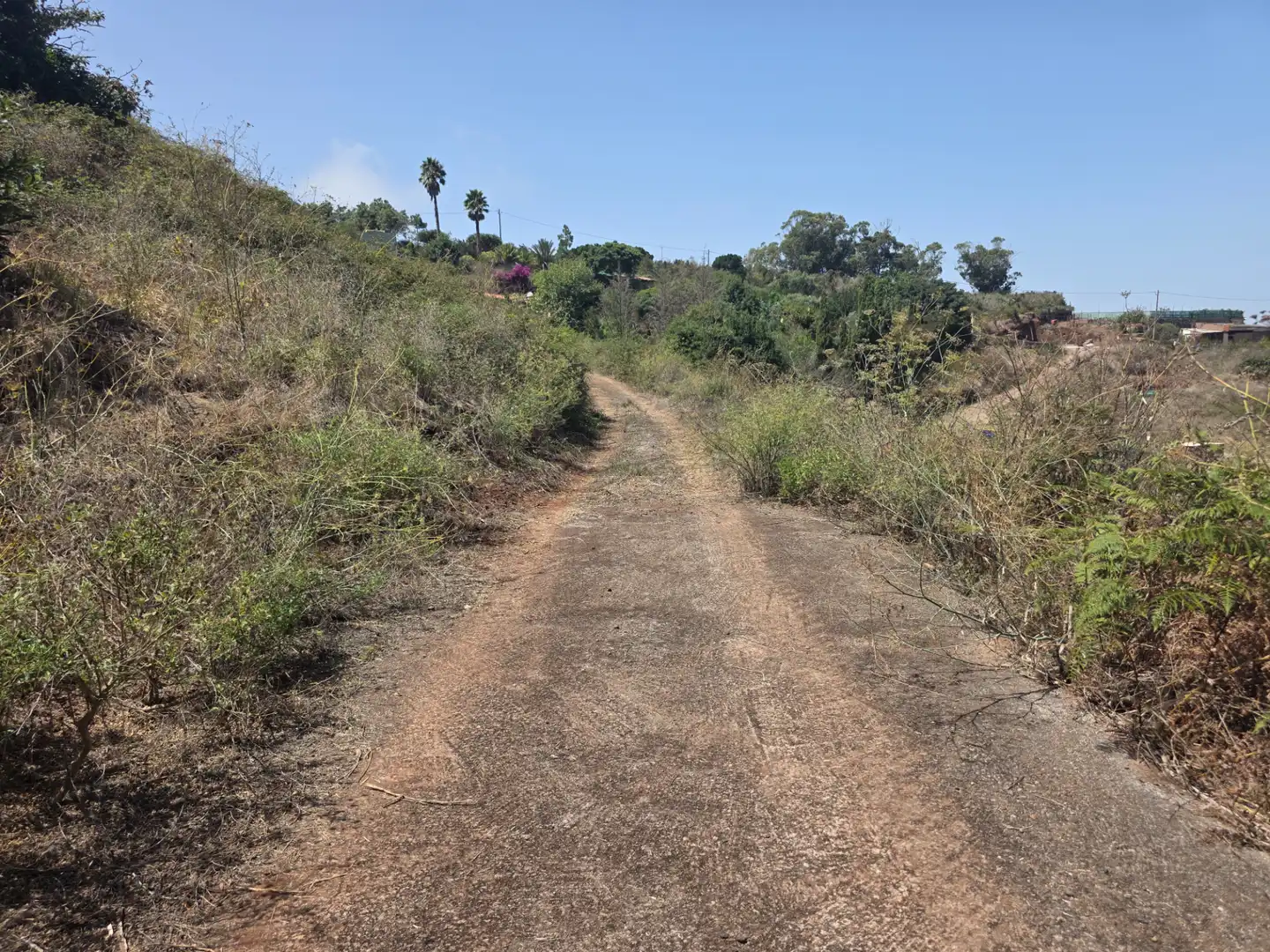 Rural land for sale in Camino las Peñuelas 11, imagen 42