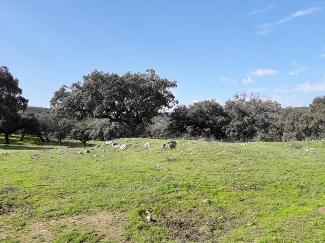 Terreno en Venta en Fuente Obejuna