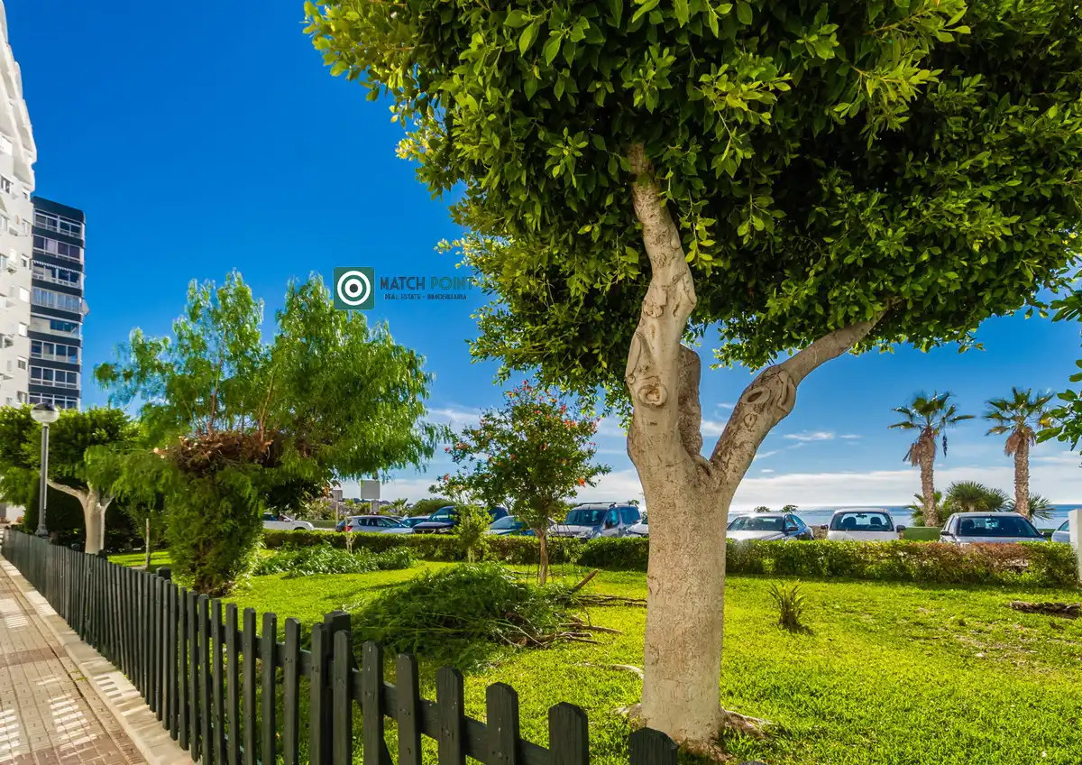 Jardí de Apartament de lloguer en Almuñécar amb Moblat