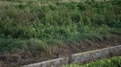 Photo 4 of Land for sale in Camino de Cascajos, 24, La Estrella, La Rioja