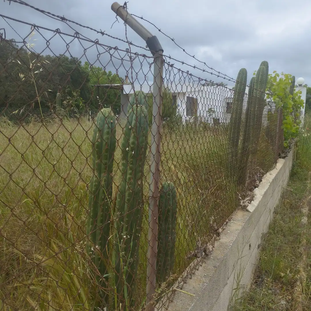 Industrial land for sale in Moncofa