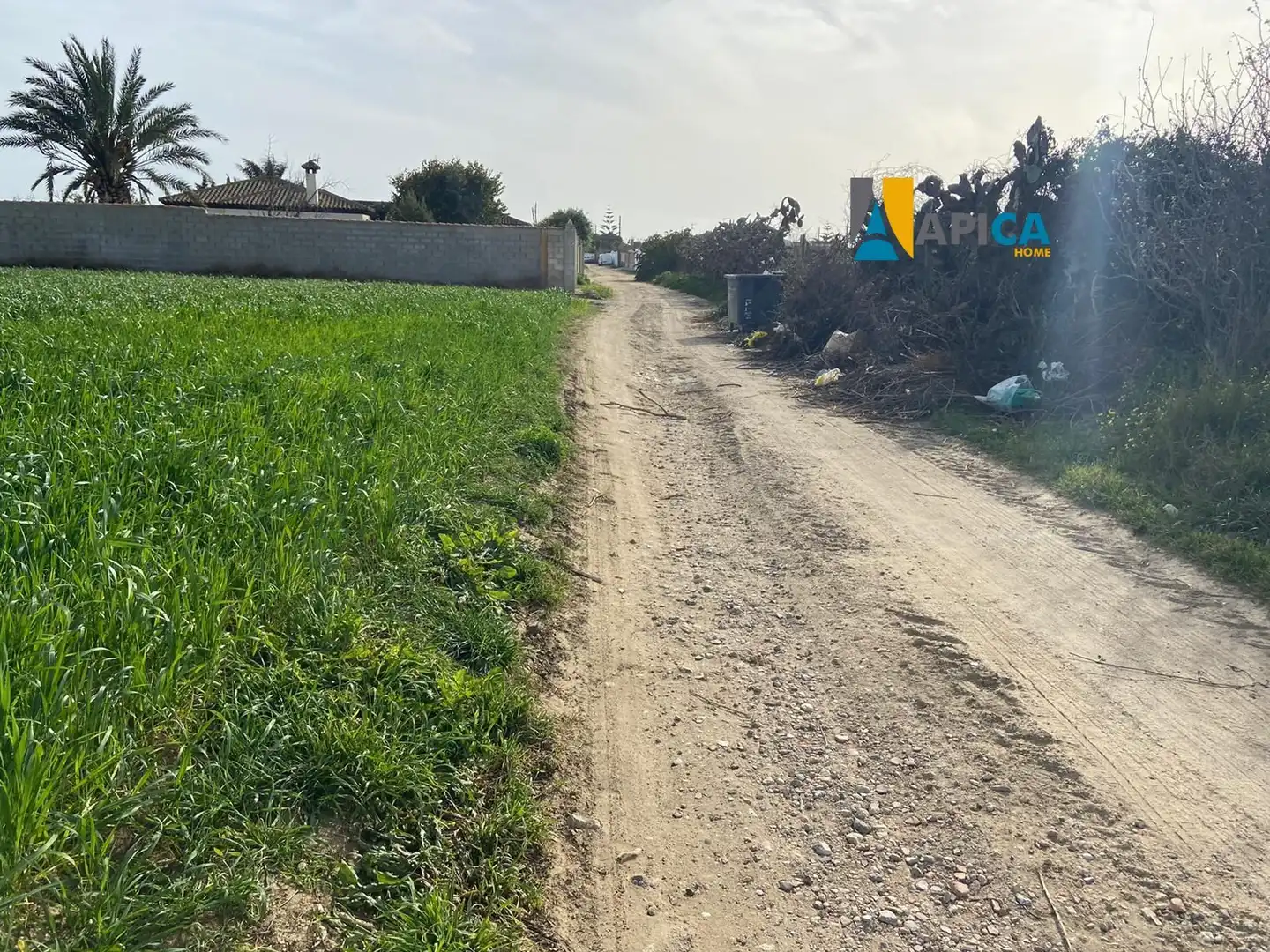 Rustikales Grundstück zum Verkauf in Los Franceses – La Vega, imagen 2