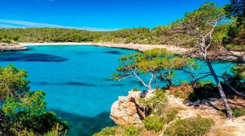 Photo 4 of House or chalet to rent in Santanyí - Carrer de Palma a Portopetro, Santanyí Poble, Santanyí