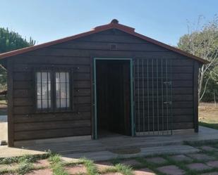 Vista exterior de Finca rústica de lloguer en Chiclana de la Frontera amb Piscina