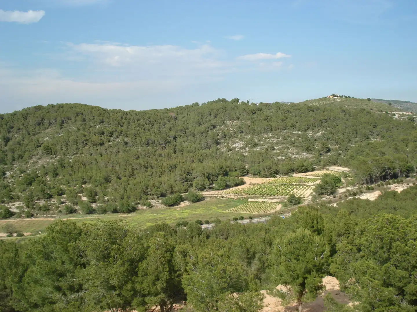Residential land for sale in Llevantina - Montgavina - Quintmar, imagen 2