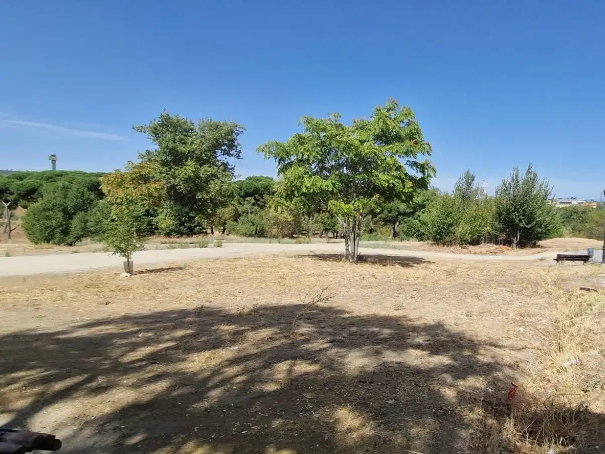Casa o xalet en venda en Prado de Somosaguas - La Finca