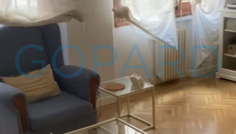 Piso de alquiler en Calle de Viriato, Trafalgar - Imagen 4