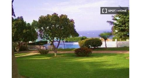 Foto 4 de Estudi per a compartir a Gran Vista - Olivo de Oro, Alicante