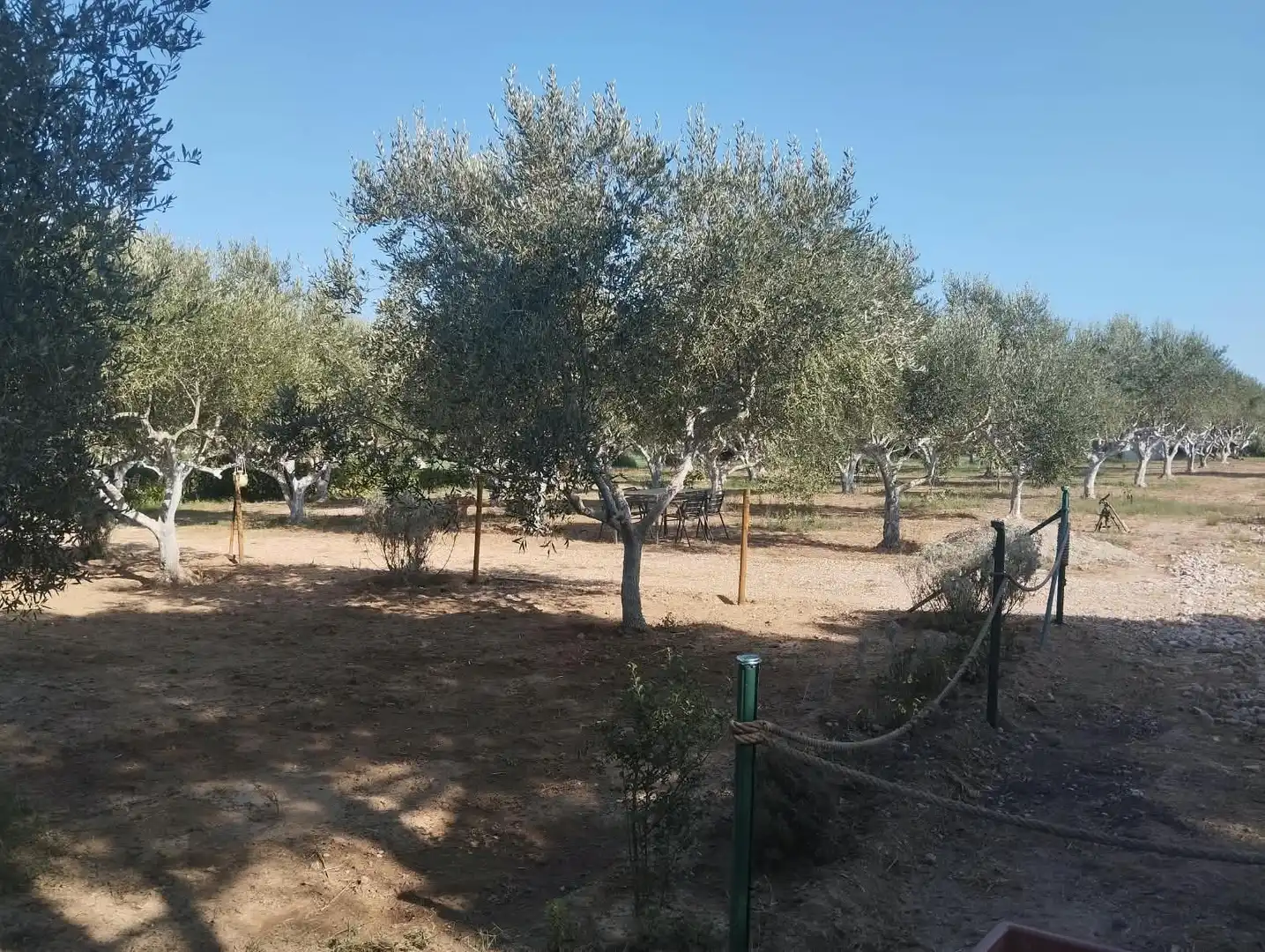 Finca rústica en venda a La Punxa