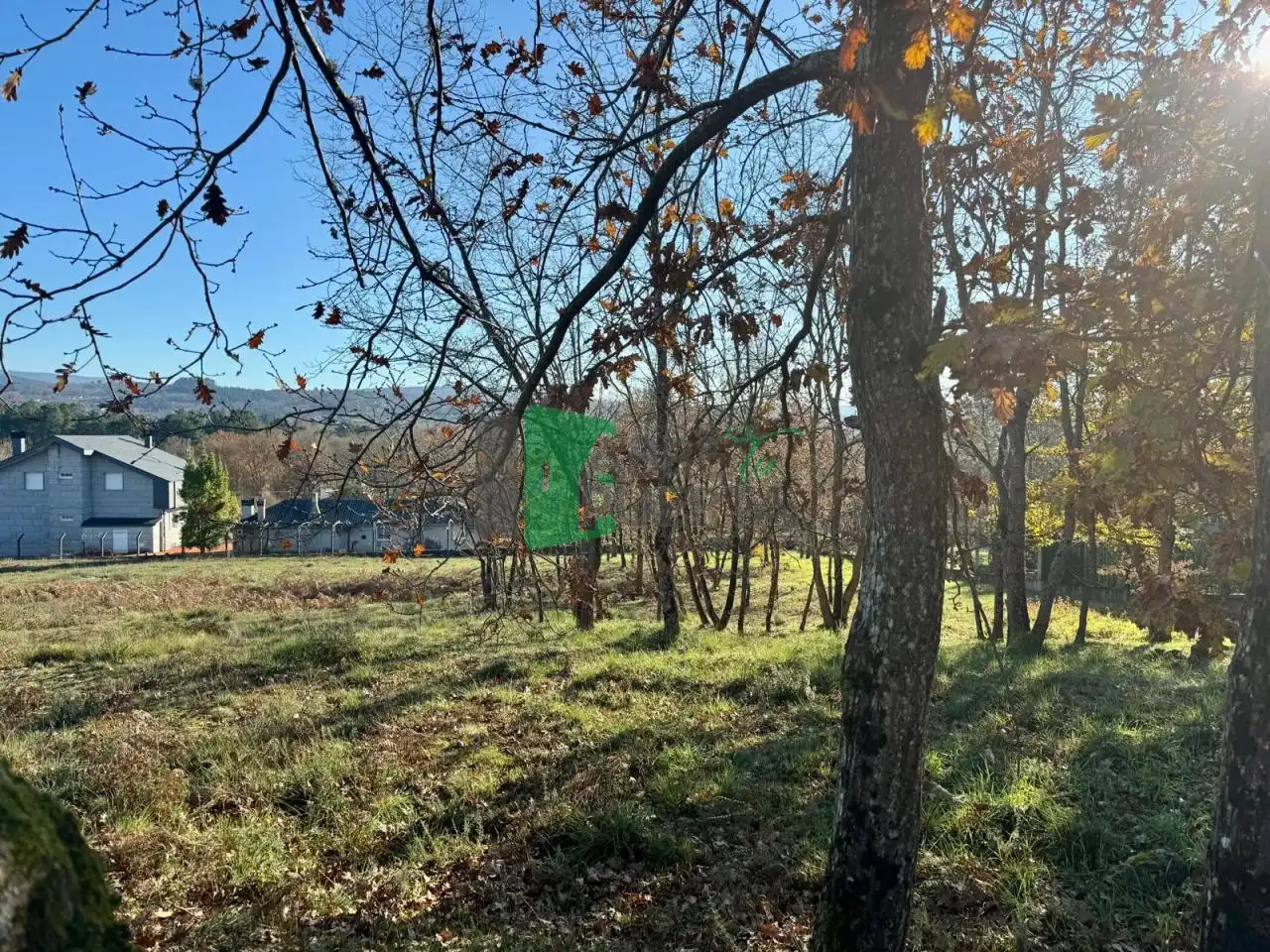 Terreni e lotti in vendita a O Pereiro de Aguiar, imagen 2