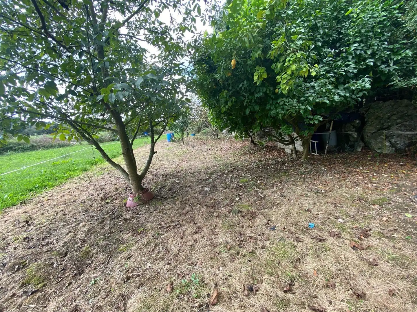 Finca rústica en venta en Argoños