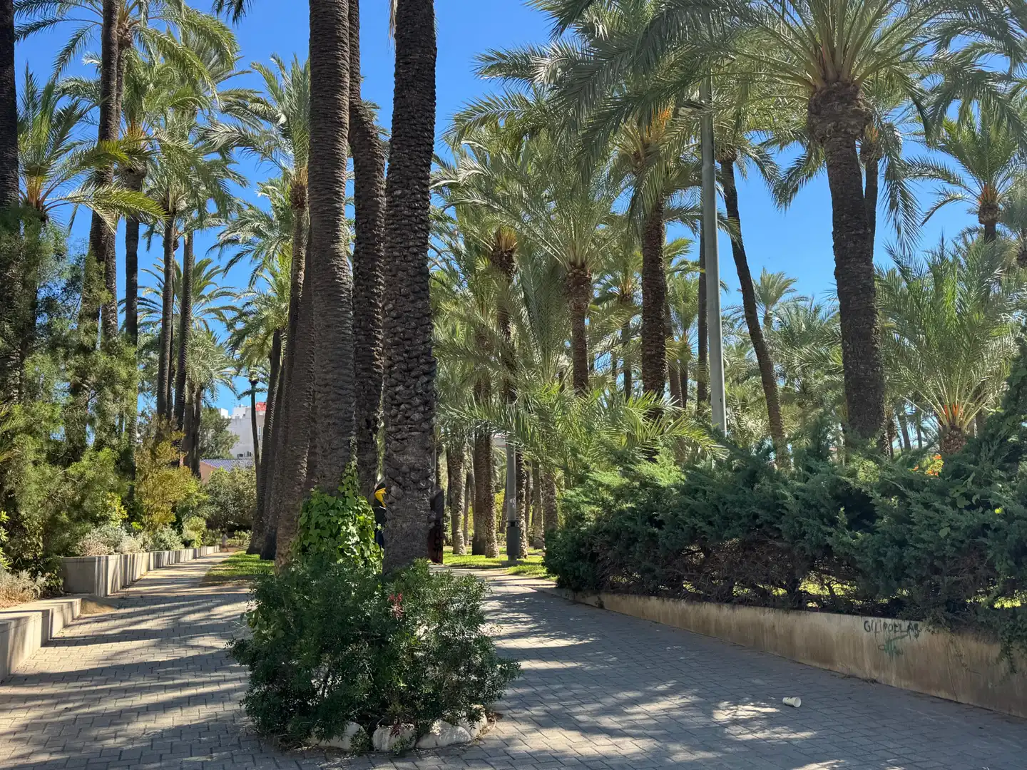 Wohnung mit Terrasse zum Verkauf in Santa Pola ciudad, imagen 51