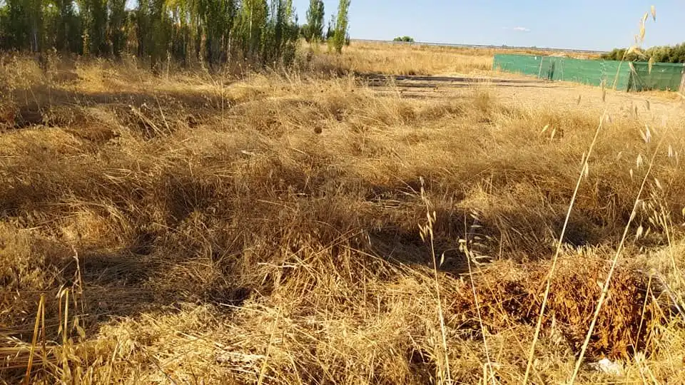 Terreno residenziale in vendita a Úbeda, imagen 3