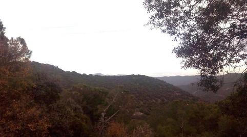 Foto 5 de Casa o chalet de alquiler en Santa Maria de Trassierra, Córdoba