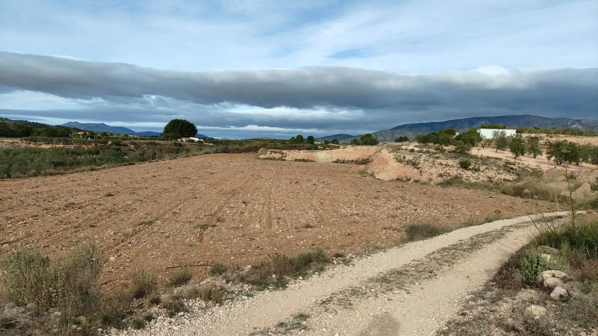 Rural land for sale in Monóvar  / Monòver, imagen 6