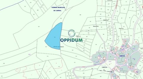 VENTA DE MONTE DE 12.600 M2 EN CABROIS, CARRAL, immagine 2