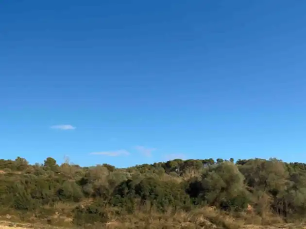 Terreny rústic en venda a Camino de Llabia a Palau S-numero, imagen 19