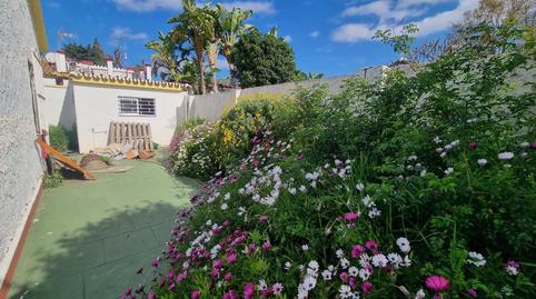 Foto 4 de Casa o xalet en venda a Canal, Cortijo de Maza - Finca Monsalvez - El Olivar, Málaga