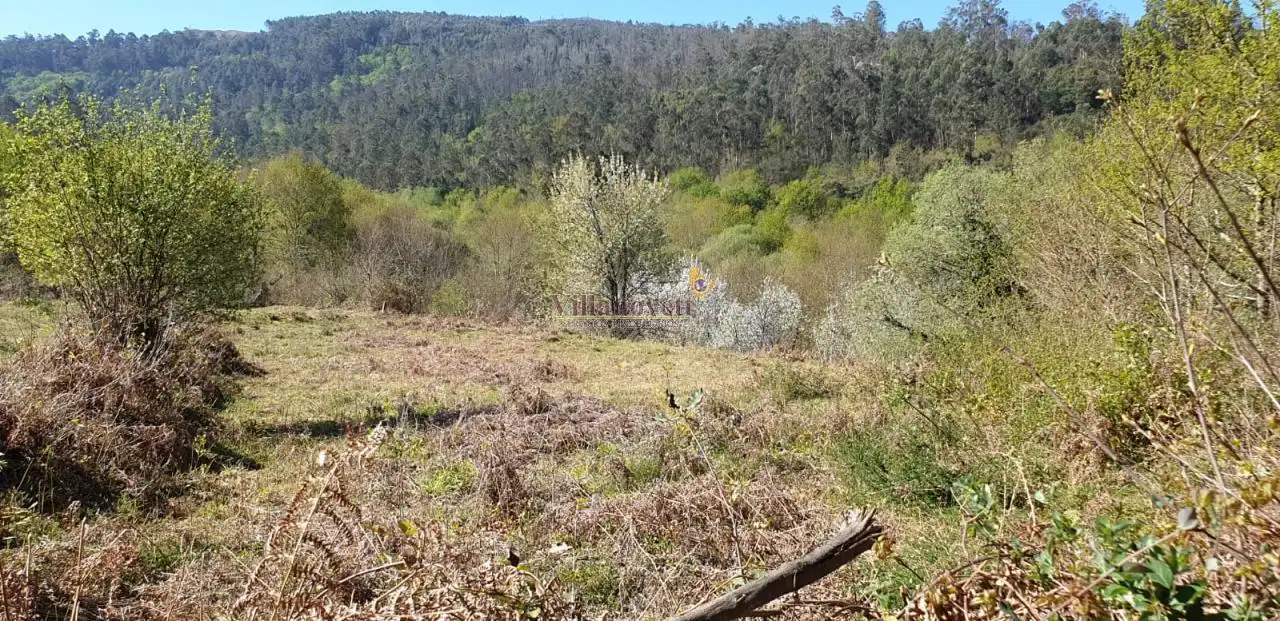 Lands and plots for sale in Mondariz, imagen 9