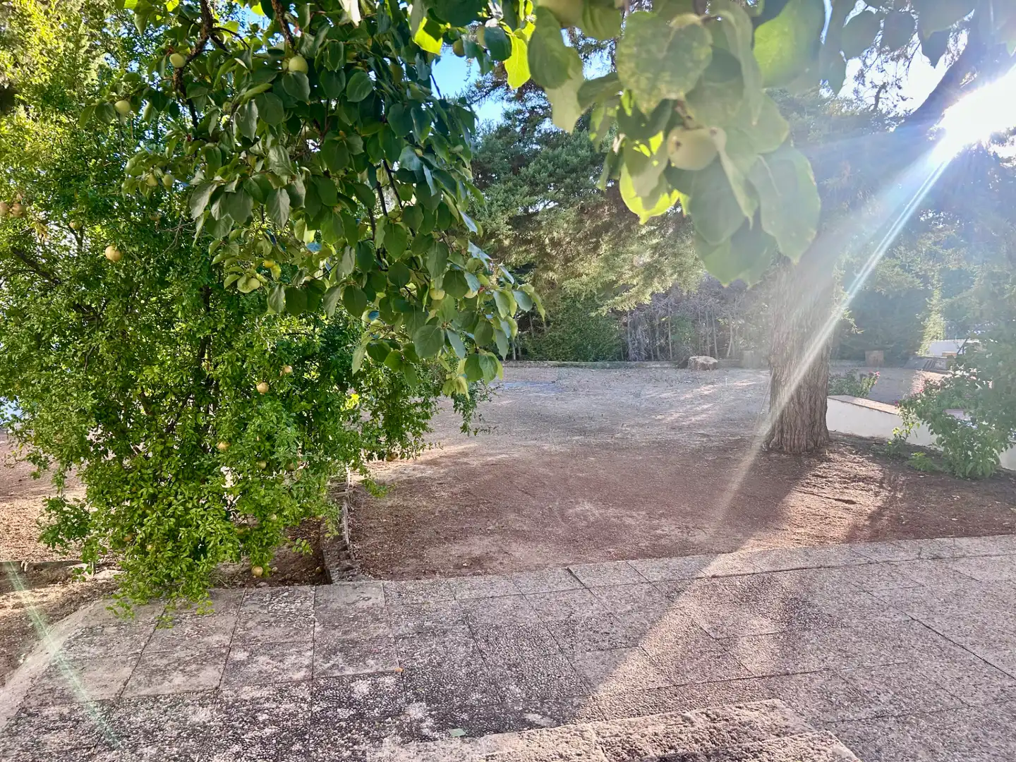 Xalet amb terrassa en venda a Baeza, imagen 15