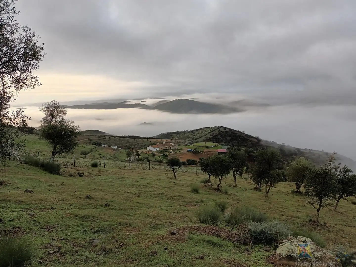 Vista exterior de Finca rústica en venta en Encinasola