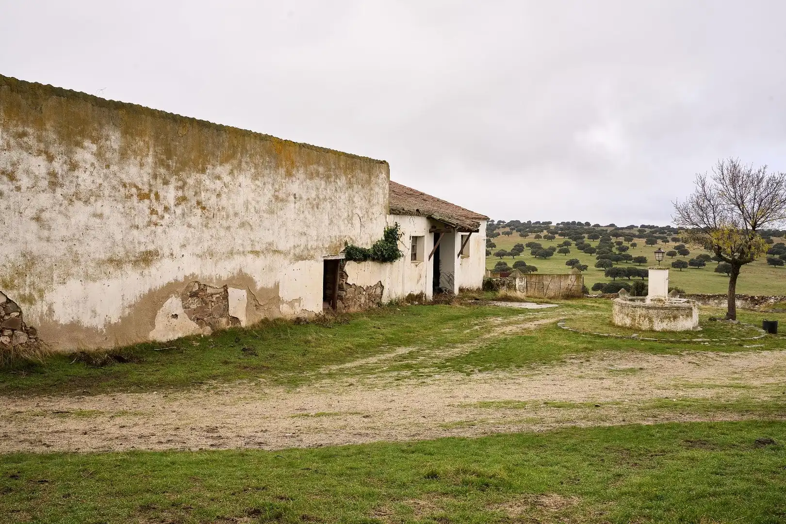 Vista exterior de Finca rústica en venta en Horcajo Medianero