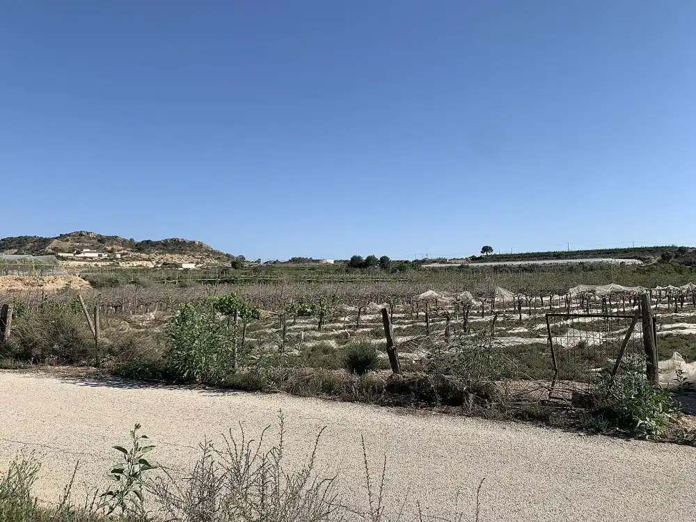 Terreno residencial en venta en Monforte del Cid, imagen 6