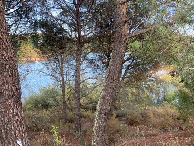 Terreno residencial en Venta en Las Jaras