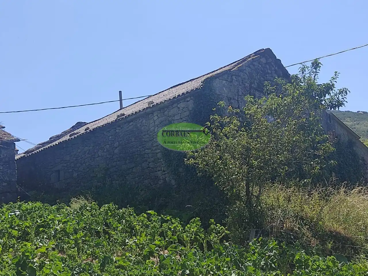 Vista exterior de Casa o chalet en venta en San Cristovo de Cea con Jardín privado y Trastero