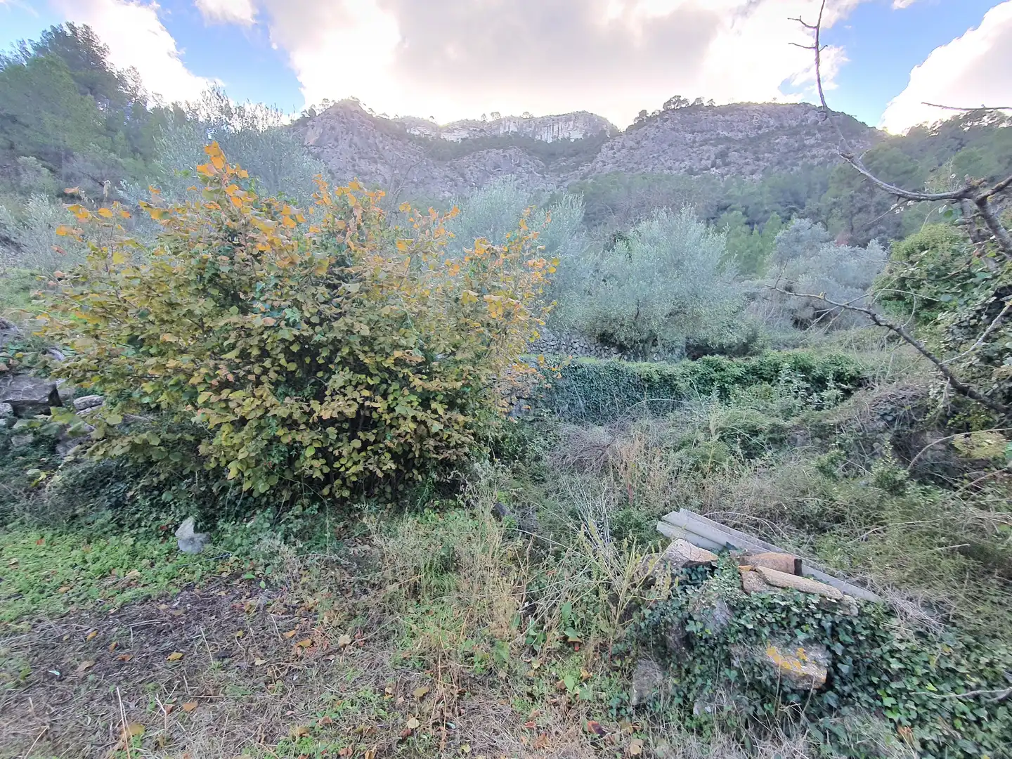 Casa en venta en Benifallet, imagen 54