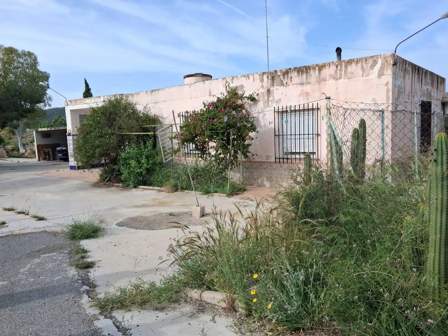 Jardín de Casa o chalet en venta en Aspe