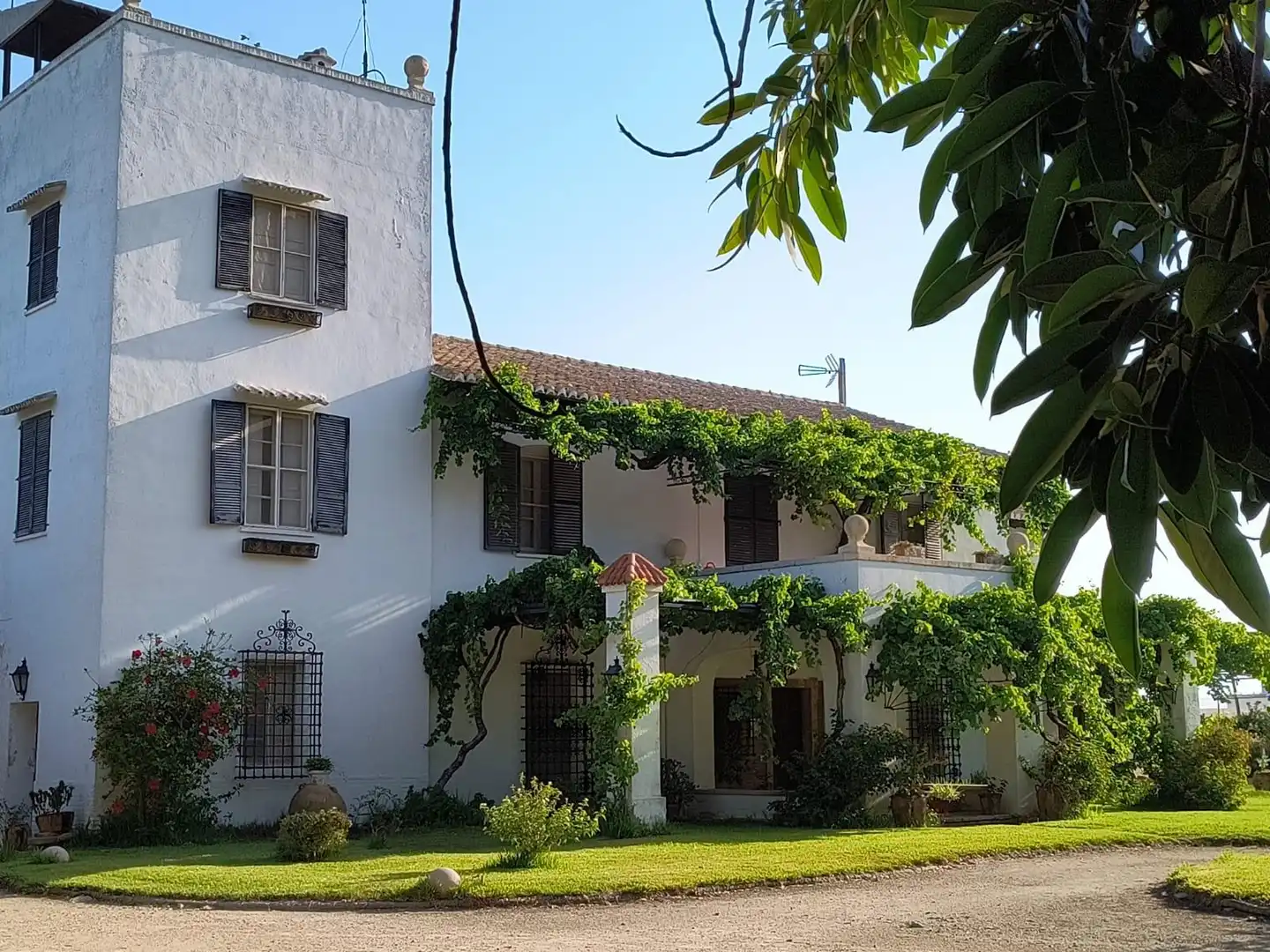 Vista exterior de Finca rústica en venta en Cullera con Calefacción, Jardín privado y Terraza