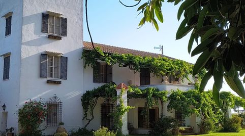 Foto 5 de Finca rústica en venda a El Dossel - Mareny de San Lorenzo, Cullera