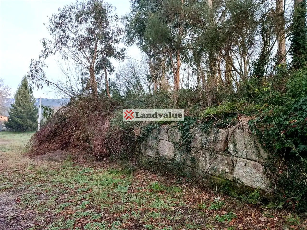 Rural land for sale in Polígono 166, Parcela 65, imagen 4