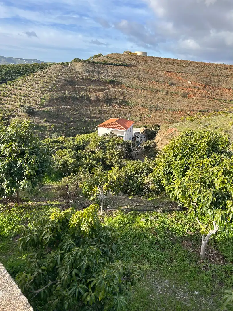 Terreni e lotti in vendita a Barrio Trapiche-la Palma Sg.T 6, imagen 2