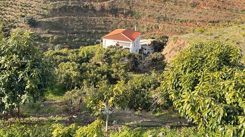 Foto 2 de Terreno en venta en Barrio Trapiche-la Palma Sg.t, 6, Norte - Barrio del Pilar - El Reñidero, Vélez-Málaga