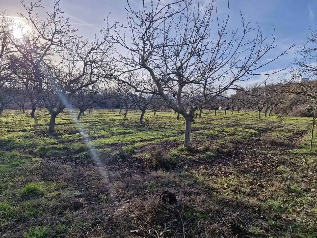 Rural land for sale in Calle DISEMINADO, imagen 2