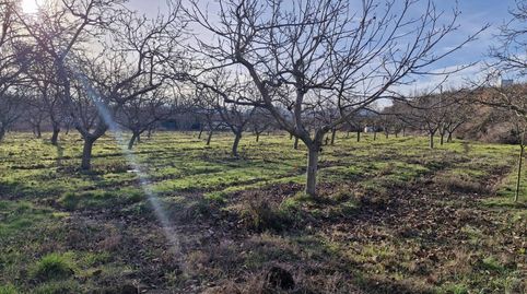 FINCA RÚSTICA EN VILLAMEDIANA A 15 MINUTOS ANDANDO DE LOGROÑO, imatge 2