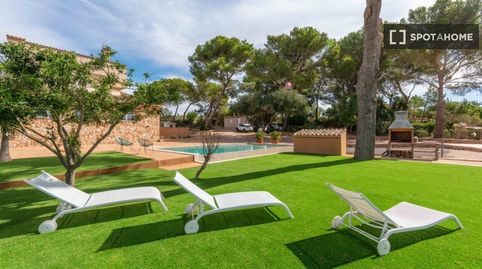 Photo 2 of Room in S'Aranjassa, Palma de Mallorca
