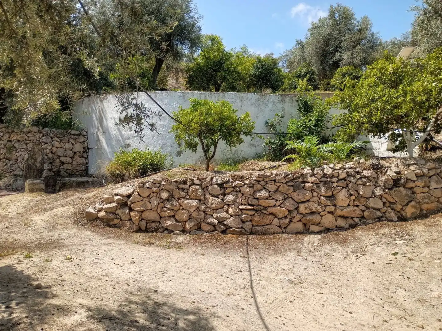 Terreni e lotti in vendita a El Valle, imagen 13
