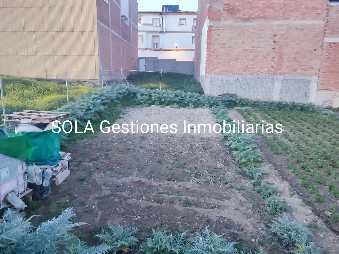 Terreni e lotti in vendita a Torreperogil, imagen 2