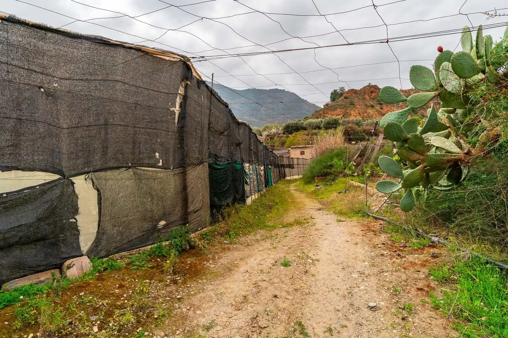 Detached house for sale in Canjáyar, imagen 33