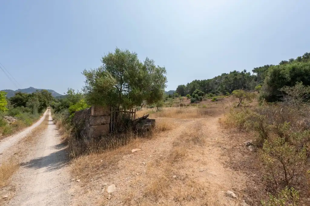 Rural land for sale in Felanitx Poble, imagen 4
