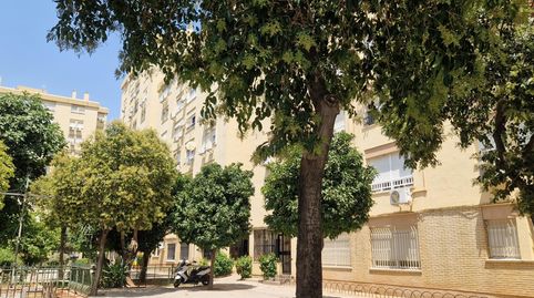 Foto 2 de Planta baixa en venda a Calle Enfermeras, Pino Montano - Consolación, Sevilla Capital
