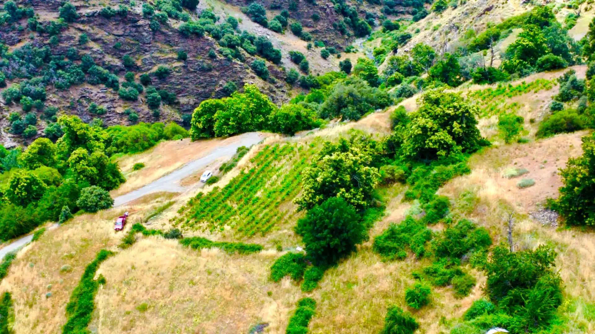 Terreni e lotti in vendita a Alpujarra de la Sierra, imagen 34